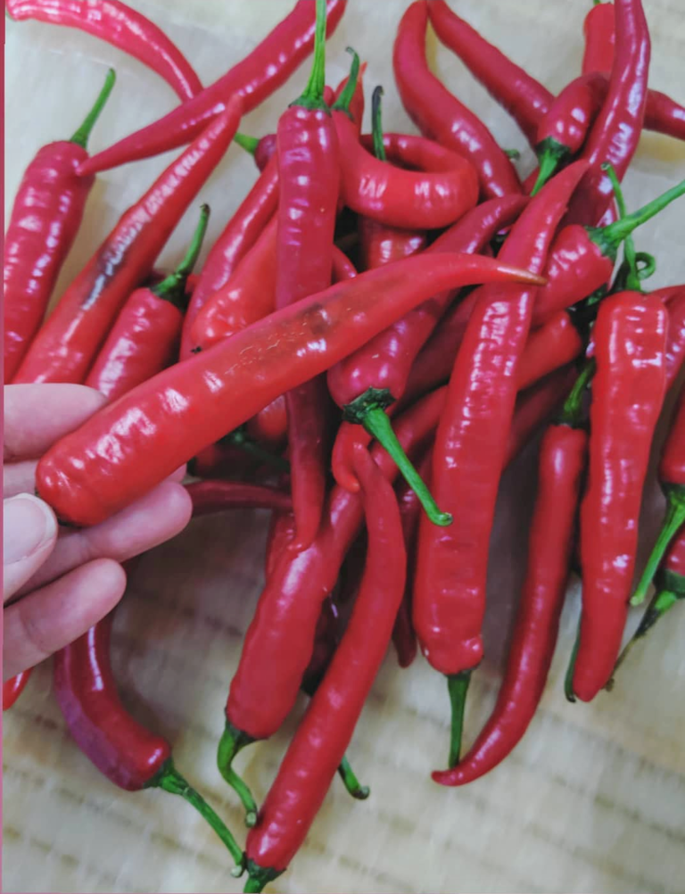 Easy Vegan Sambal - Chili paste | Spicy and Gluten-free - WoonHeng