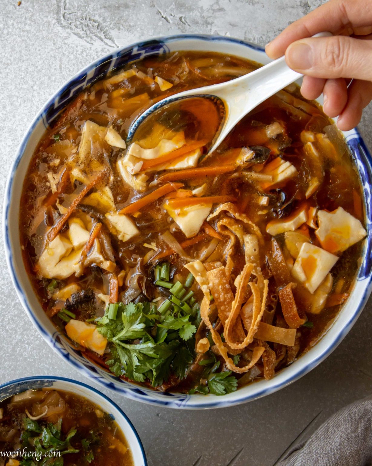 The Best Vegan Hot and Sour soup (Easy step-by-step) - WoonHeng
